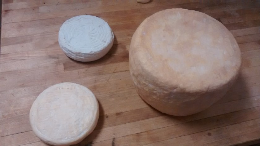 img_20151221_161333074